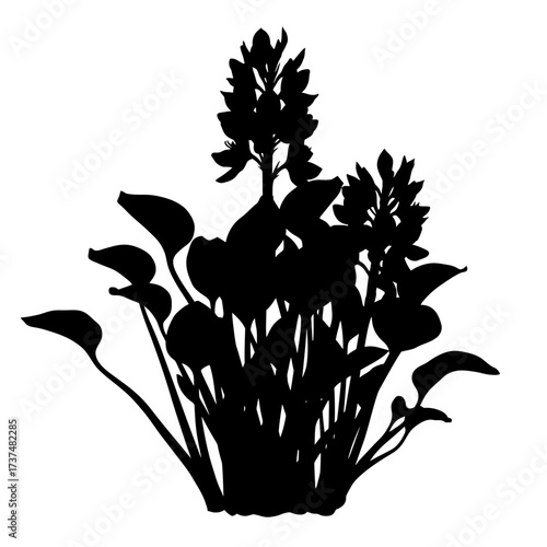 Silhouette of aquatic plant with blossoms ideal for nature designs and botanical artworks silhouette flat design vector illustration white background