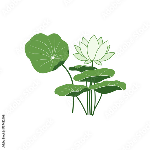 Serene lotus flower and lily pad bloom delicate botanical art for tranquil designs silhouette flat design vector illustration white background