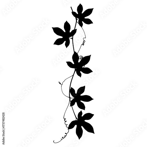 Elegant silhouette of a passion flower vine with five star-shaped leaves silhouette flat design vector illustration white background