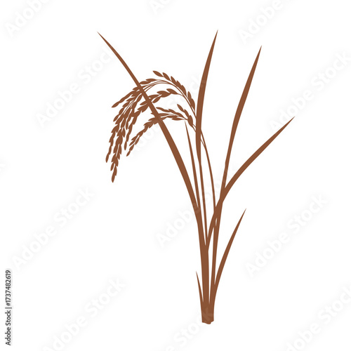 Close-up view of a single red rice plant stalk with grain ready for harvest silhouette flat design vector illustration white background