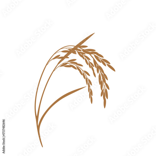 Golden rice stalk harvested grain agriculture food staple healthy organic natural wheat field silhouette flat design vector illustration white background