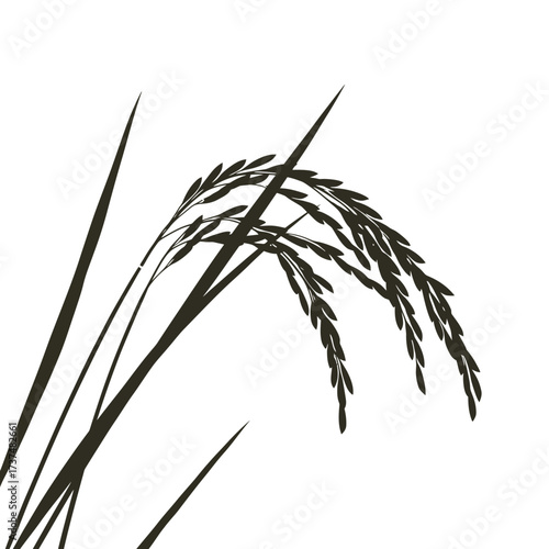 Detailed black silhouette of a rice plant stalk showing grains against white silhouette flat design vector illustration white background