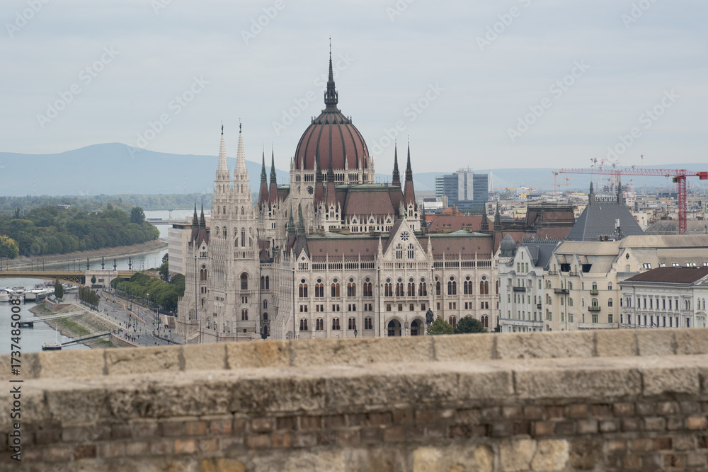 Obraz premium The Hungarian Parliament and the Danube river