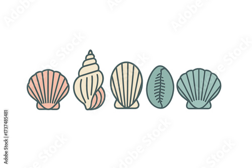Collection of various seashells displayed in different shapes and colors on a white background