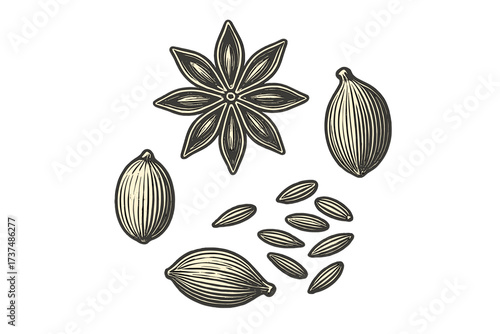 Detailed view of various types of spices including star anise and cardamom against a white background