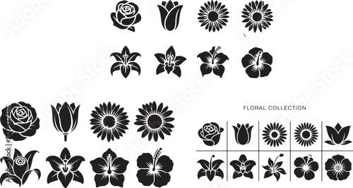 Black floral silhouettes collection rose tulip