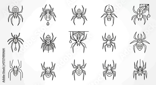 A Collection of Spider Icons A Halloween-Themed Set. Featuring Detailed Illustrations of Arachnids