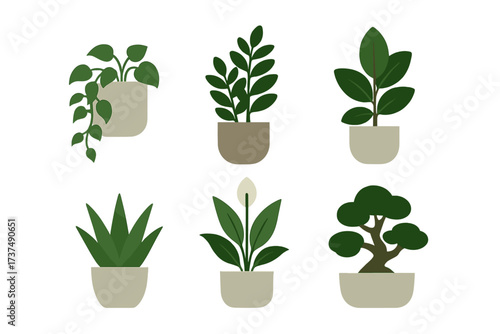 Plants in modern pots arranged in a creative layout showcasing indoor greenery and decor ideas