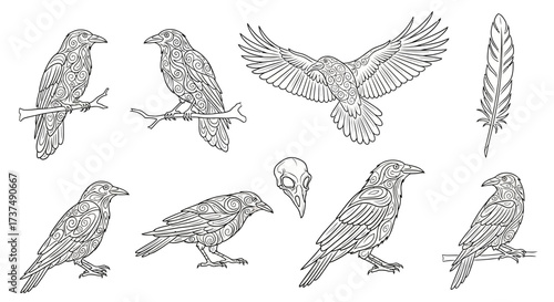 Detailed Line Art Illustrations of Crows and Ravens, Featuring Various Poses, Ideal for Halloween Decorations or Design Projects