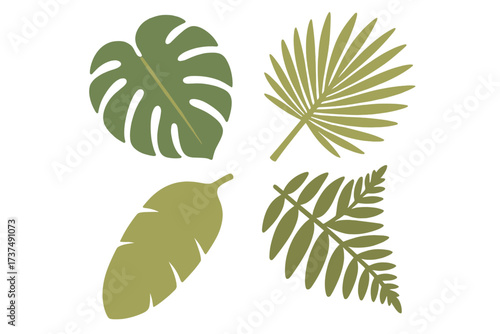 Various green tropical leaves arranged in a decorative pattern for nature and design inspiration