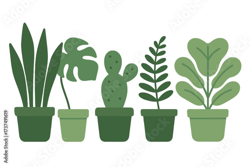 Green plants arranged in pots create a fresh vibe in a minimalist indoor space