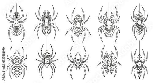 Intricate spider illustrations in a row, perfect for Halloween-themed designs and spooky projects, ideal for digital use and craft projects