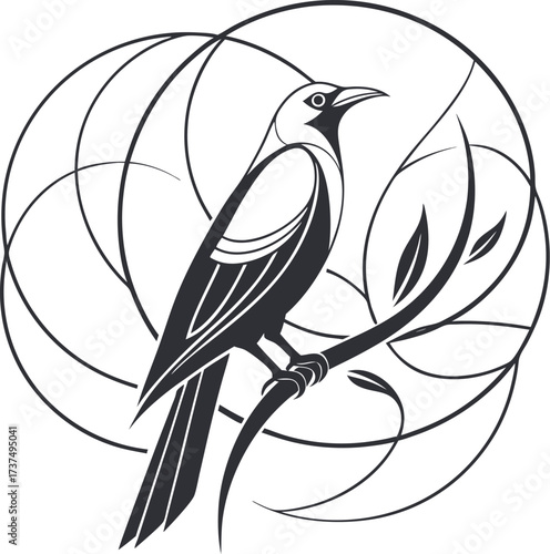 bird of paradise