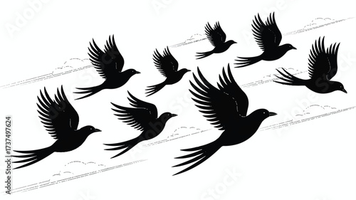 A minimalist black and white illustration of seven birds in flight against a pure white background.  
