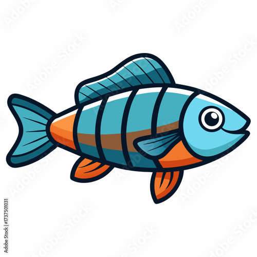 fish on a white background