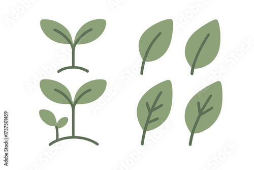 Stylized green plant sprouts and various leaves representing natural growth and ecology