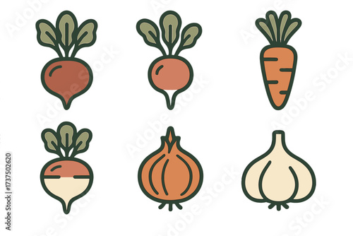 Colorful illustration of fresh vegetables including radishes, carrots, onions, and garlic
