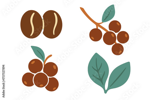 Coffee beans and berries with leaves in a simple and clean design showing their natural form and colors