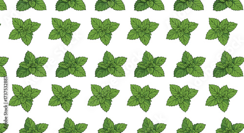 A repeating pattern of green mint leaves on a white background.