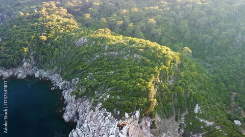 aerial perspective captures the tranquil beauty of the Turkish coastline near Adasi, showcasing vibrant green vegetation meeting the clear, turquoise waters of the Aegean Sea. Rocky shores and untouch