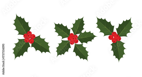 Decorative sprigs of holly with red berries on a white background.