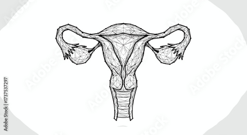 An artistic representation of the female reproductive system and its crucial components for health and well-being.