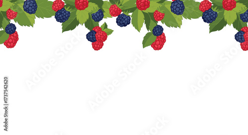 A vibrant border of ripe raspberries and juicy blackberries adorned with green leaves.