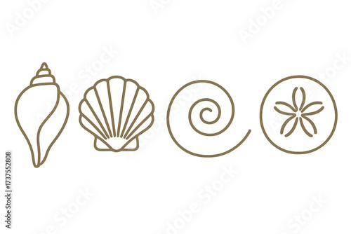 Minimalist outline symbols featuring various marine seashells and a sand dollar