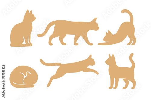 Domestic feline silhouettes showing different movements and resting positions