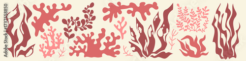Marine coral and seaweed organic silhouettes with flowing underwater plants and branching formations in pink and red colors. Aquatic vegetation of kelp fronds, reef structures and sea grass.