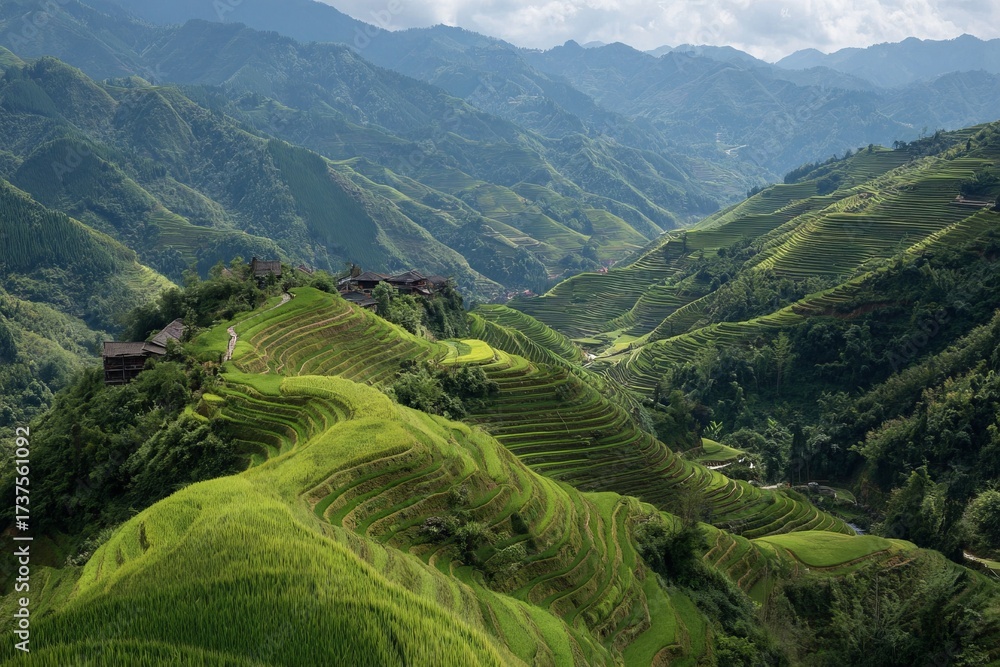 Fototapeta premium Terraced rice fields on green mountain landscape