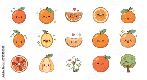 Cute Cartoon Style Orange and Citrus Fruit Characters Collection Illustration