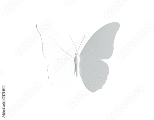 Simple white butterfly graphic on a black background, top down view