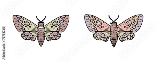 Foto Realistic hawk moth butterfly doodle clip art collection