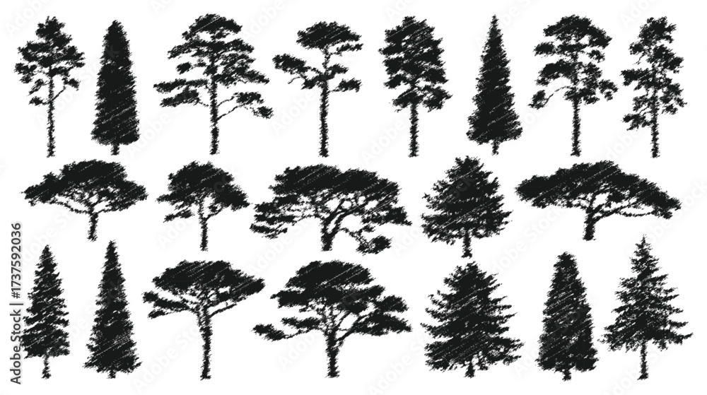 Fototapeta premium Diverse Tree Silhouette Collection Black Botanical Icons for Nature, Landscape, and Design Projects