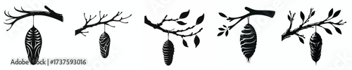 black and white silhouette vector of a cocoon