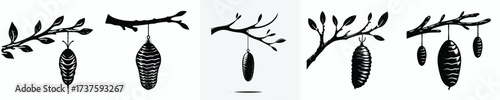 black and white silhouette vector of a cocoon