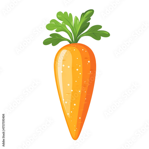 Single carrot illustration fresh healthy food image