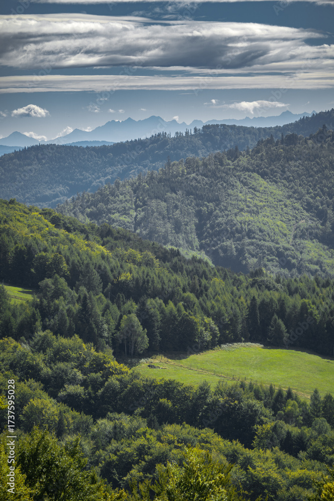 Naklejka premium The mountain landscape of the Silesian Beskids in Poland