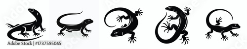 vector black and white silhouette of a house lizard