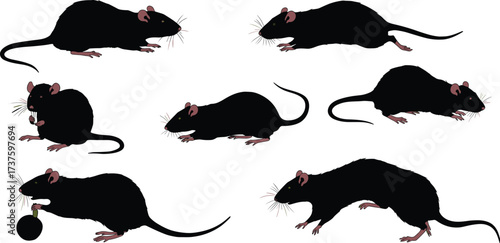 Silhouette rats illustration, black rodents with pink tails, cartoon style animals, funny rat poses, bomb object, group rodents, isolated background