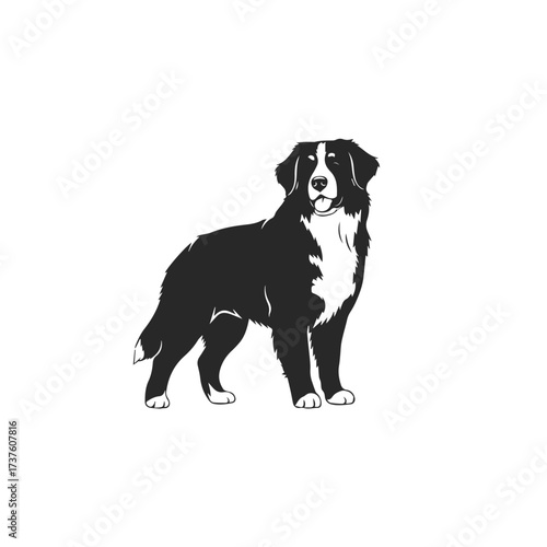 Bernese Mountain Dog Silhouette Standing Proudly.