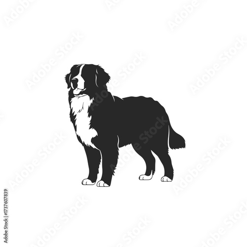 Bernese Mountain Dog Silhouette.