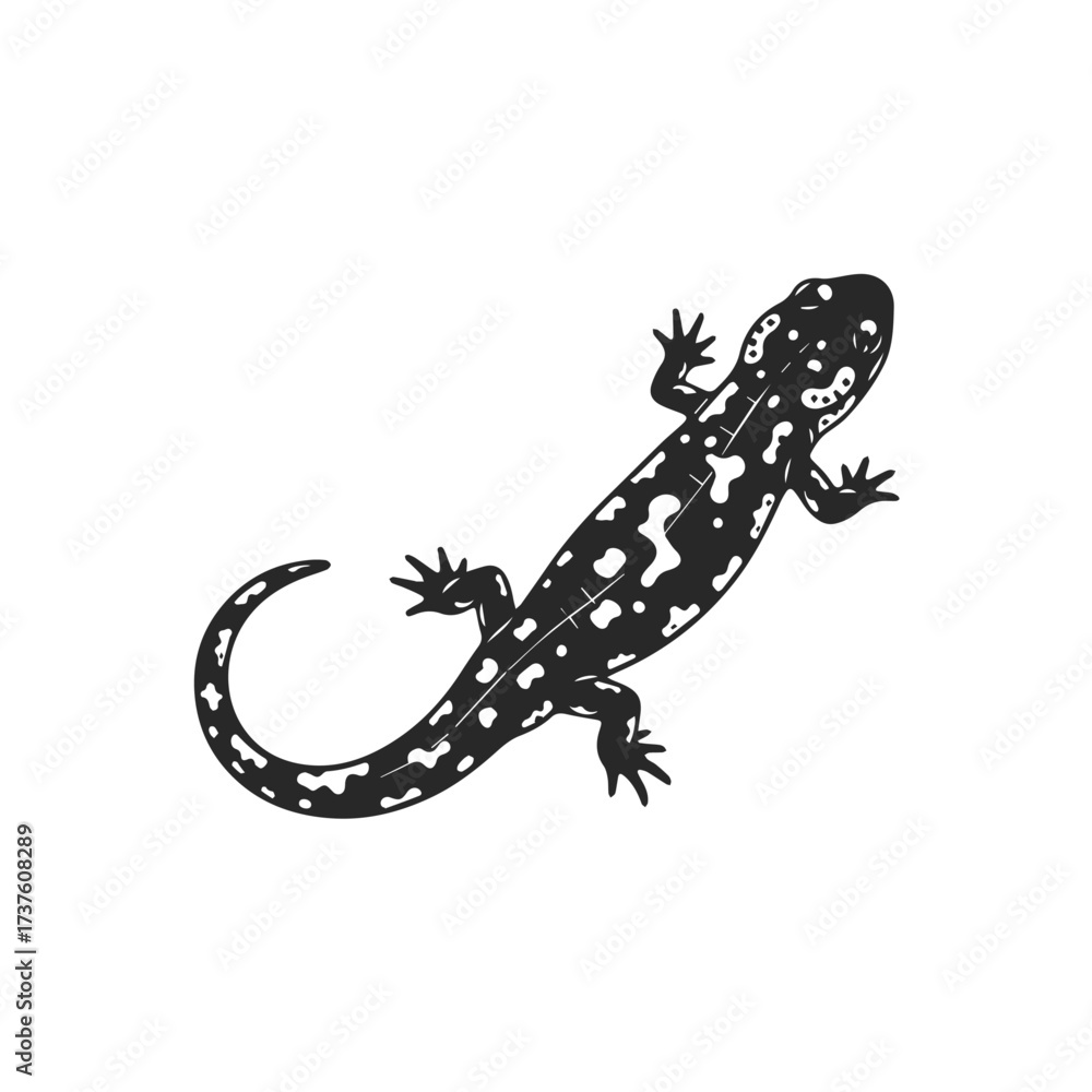 Naklejka premium Black and White Spotted Salamander Silhouette.