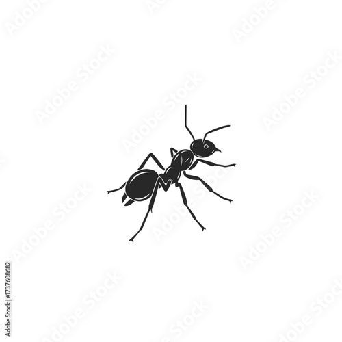Black Silhouette of an Ant on White Background 1.