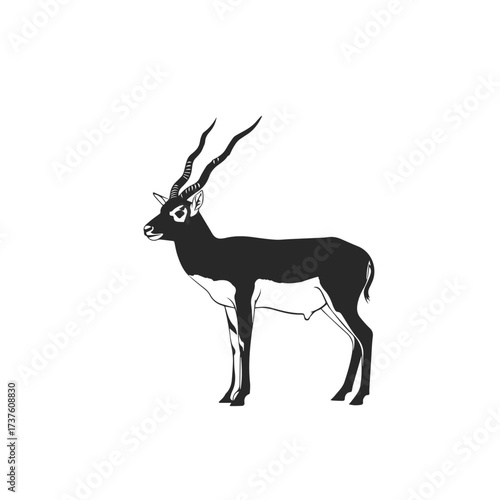 Blackbuck Antelope Silhouette Standing Gracefully.