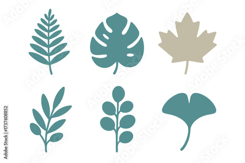 Stylized leaf illustrations collection