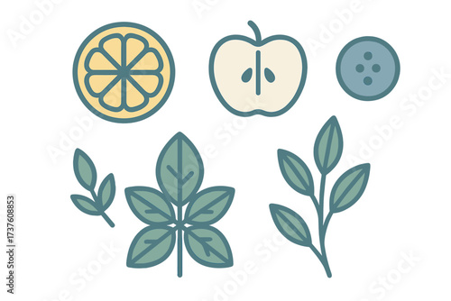 Stylized fruits and leaves collection