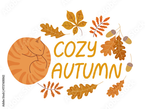 Cute sleeping orange cat surrounded by autumn leaves acorns and cozy handwritten text flat cartoon style perfect for seasonal designs web decor packaging and posters
