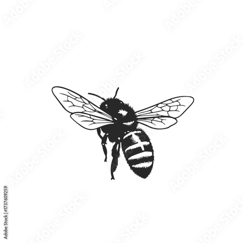 Detailed Silhouette of a Flying Bee.